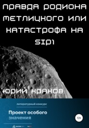 бесплатно читать книгу Правда Родиона Метлицкого или катастрофа на SIP1 автора  Юрий Краков