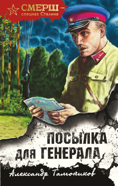 бесплатно читать книгу Посылка для генерала автора Александр Тамоников