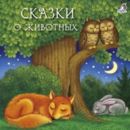 бесплатно читать книгу Сказки о животных автора Всеволод Гаршин