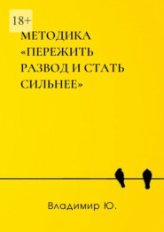 бесплатно читать книгу Методика «Пережить развод и стать сильнее» автора Владимир Ю.