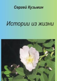 бесплатно читать книгу Истории из жизни автора Сергей Кузьмин