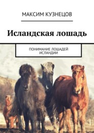 бесплатно читать книгу Исландская лошадь. Понимание лошадей Исландии автора Максим Кузнецов