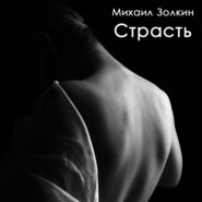 бесплатно читать книгу Страсть автора Михаил Золкин