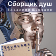 бесплатно читать книгу Сборщик душ автора Владимир Шорохов