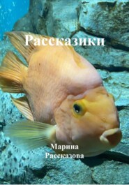 бесплатно читать книгу Рассказики автора Марина Рассказова