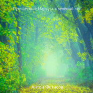 бесплатно читать книгу Путешествие Маркуса в зелёный лес автора Антон Фетисов