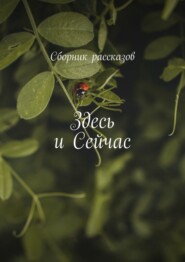 бесплатно читать книгу Здесь и сейчас автора Анна Федотова