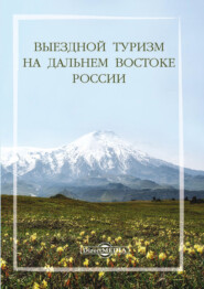 бесплатно читать книгу Выездной туризм на Дальнем Востоке России автора  Коллектив авторов