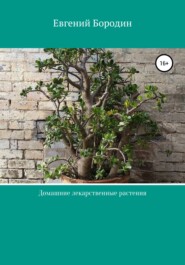 бесплатно читать книгу Домашние лекарственные растения автора Евгений Бородин