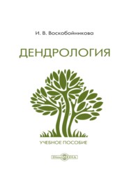 бесплатно читать книгу Дендрология автора Инна Воскобойникова