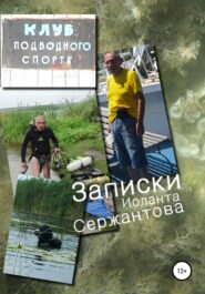 бесплатно читать книгу Записки автора Иоланта Сержантова