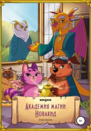 бесплатно читать книгу Академия Магии Новакид автора Егор Саксин