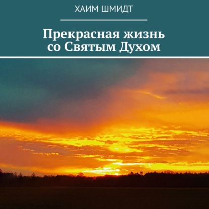 бесплатно читать книгу Прекрасная жизнь со Святым Духом автора Хаим Шмидт