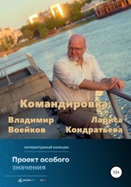 бесплатно читать книгу Командировка автора Лариса Кондратьева
