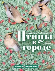бесплатно читать книгу Птицы в городе автора Наталья Габеева