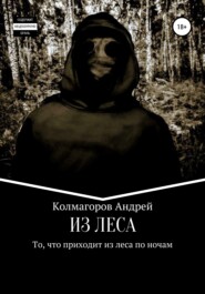 бесплатно читать книгу Из леса автора Андрей Колмагоров