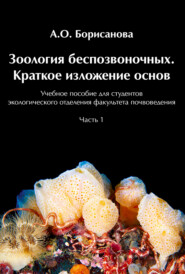 бесплатно читать книгу Зоология беспозвоночных. Краткое изложение основ автора Анастасия Борисанова