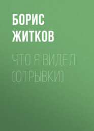 бесплатно читать книгу Что я видел (отрывки) автора Борис Житков