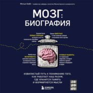 бесплатно читать книгу Мозг: биография. Извилистый путь к пониманию того, как работает наш разум, где хранится память и формируются мысли автора Мэтью Кобб