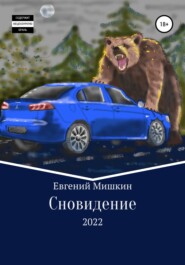 бесплатно читать книгу Сновидение автора Евгений Мишкин