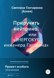 бесплатно читать книгу Приручить нейтрино, или «Энергокуб инженера Гагарина» автора Светлана Гончаренко (Алкея)