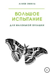 бесплатно читать книгу Большое испытание для маленькой букашки автора Эмиль Алиев