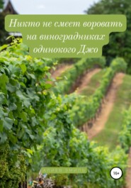 бесплатно читать книгу Никто не смеет воровать на виноградниках одинокого Джо автора Эмиль Алиев