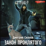 бесплатно читать книгу Закон проклятого автора Дмитрий Силлов