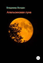 бесплатно читать книгу Апельсиновая луна автора Владимир Волдан