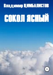 бесплатно читать книгу Сокол ясный автора Владимир Цимбалистов