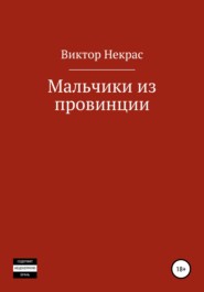 бесплатно читать книгу Мальчики из провинции автора Виктор Некрас