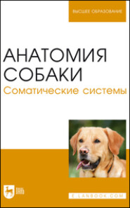 бесплатно читать книгу Анатомия собаки. Соматические системы автора Ф. Капустин