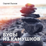бесплатно читать книгу Бусы из камушков автора Сергей Лысков