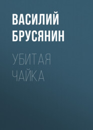 бесплатно читать книгу Убитая чайка автора Василий Брусянин