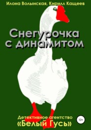 бесплатно читать книгу Снегурочка с динамитом автора Илона Волынская