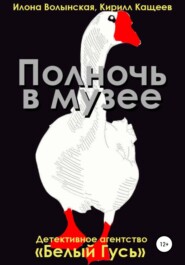 бесплатно читать книгу Полночь в музее автора Илона Волынская