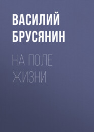 бесплатно читать книгу На поле жизни автора Василий Брусянин