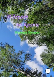 бесплатно читать книгу В дорогу по жизни автора Надежда Мунцева