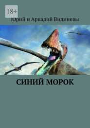 бесплатно читать книгу Синий морок автора  Юрий и Аркадий Видиневы