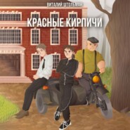 бесплатно читать книгу Красные кирпичи автора Виталий Штольман