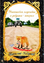 бесплатно читать книгу Участковая, плутовка и девушка-генерал автора Василий Боярков