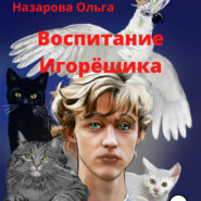 бесплатно читать книгу Воспитание Игорёшика автора Ольга Назарова