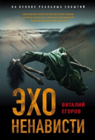 бесплатно читать книгу Эхо ненависти автора Виталий Егоров