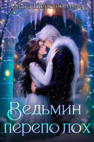 бесплатно читать книгу Ведьмин переполох автора Ольга Шерстобитова