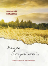 бесплатно читать книгу Жизнь – радость короткая автора Василий Мишенёв