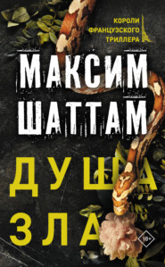 бесплатно читать книгу Душа зла автора Максим Шаттам