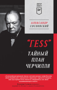 бесплатно читать книгу «ГESS». Тайный план Черчилля автора Александр Сосновский