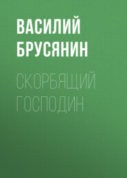 бесплатно читать книгу Скорбящий господин автора Василий Брусянин