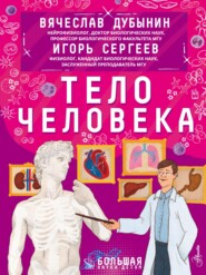 бесплатно читать книгу Тело человека автора Вячеслав Дубынин