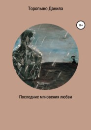 бесплатно читать книгу Последние мгновения любви автора Данила Торопыно